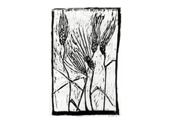 At first glance this seems just like a website.  There is information about the history, the products they sell, the ingredients etc.  The interactive mapping platform makes it so much more.  Five Points wanted to showcase not just information about the ingredients but where their ingredients come from, how far away, and the sourcing that is utilized in their goods.